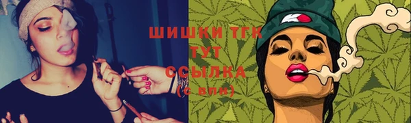 прущие грибы Магас
