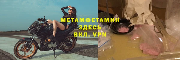 прущие грибы Магас