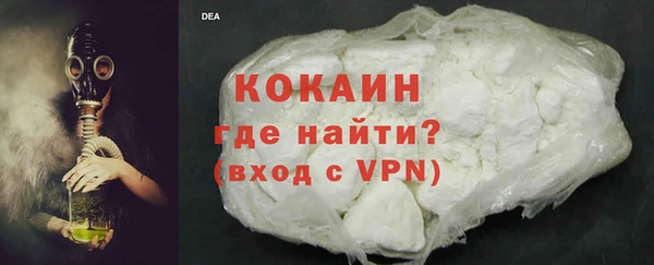 прущие грибы Магас