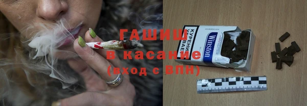 прущие грибы Магас