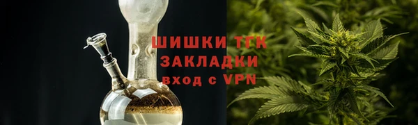 прущие грибы Магас