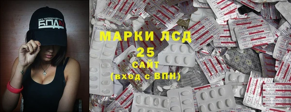 прущие грибы Магас