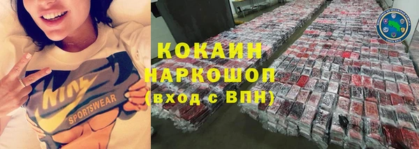 прущие грибы Магас