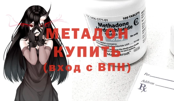 прущие грибы Магас