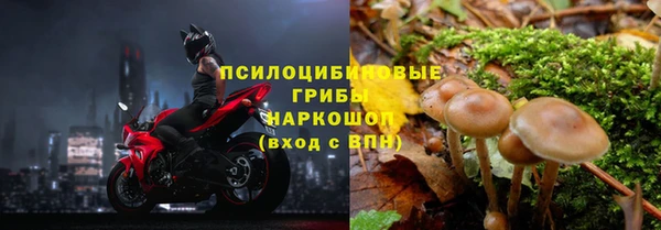MESCALINE Магадан