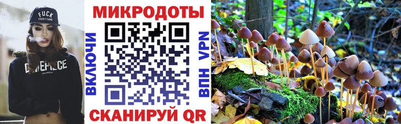 цены   Чухлома  Псилоцибиновые грибы мухоморы 